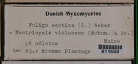 Image Associated With the Occurence